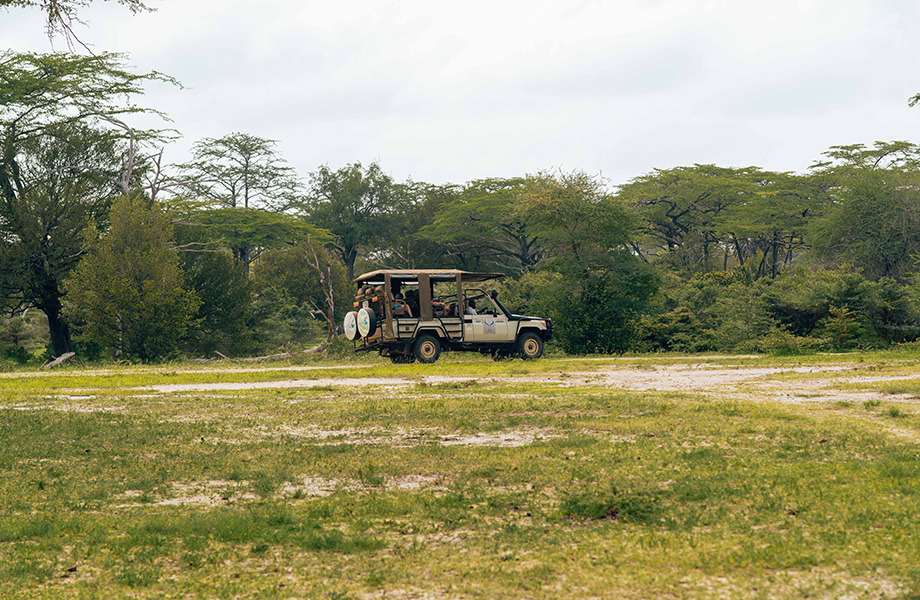 Tour Vehicle