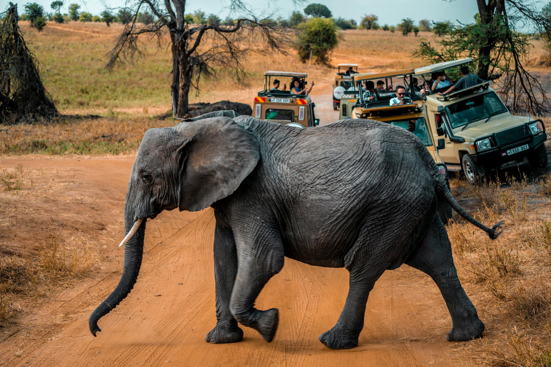 Serengeti National Park