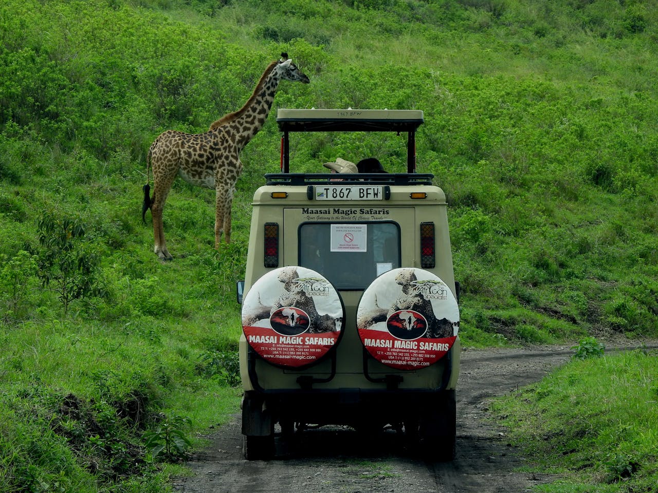 6 Days Safari Cape Town
